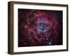 The Rosette Nebula-Stocktrek Images-Framed Photographic Print