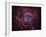 The Rosette Nebula-Stocktrek Images-Framed Photographic Print