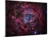 The Rosette Nebula-Stocktrek Images-Mounted Photographic Print