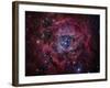 The Rosette Nebula-Stocktrek Images-Framed Photographic Print