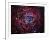 The Rosette Nebula-Stocktrek Images-Framed Photographic Print