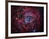 The Rosette Nebula-Stocktrek Images-Framed Photographic Print
