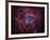 The Rosette Nebula-Stocktrek Images-Framed Photographic Print