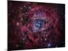 The Rosette Nebula-Stocktrek Images-Mounted Photographic Print