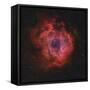 The Rosette Nebula-Stocktrek Images-Framed Stretched Canvas