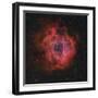 The Rosette Nebula-Stocktrek Images-Framed Photographic Print