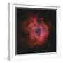 The Rosette Nebula-Stocktrek Images-Framed Photographic Print