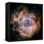 The Rosette Nebula-Stocktrek Images-Framed Stretched Canvas