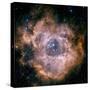 The Rosette Nebula-Stocktrek Images-Stretched Canvas
