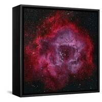 The Rosette Nebula-null-Framed Stretched Canvas