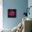 The Rosette Nebula-null-Framed Stretched Canvas displayed on a wall