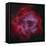 The Rosette Nebula-null-Framed Stretched Canvas