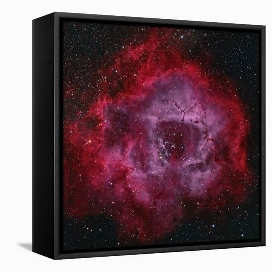 The Rosette Nebula-null-Framed Stretched Canvas