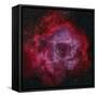 The Rosette Nebula-null-Framed Stretched Canvas
