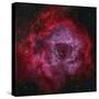 The Rosette Nebula-null-Stretched Canvas