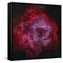 The Rosette Nebula-null-Framed Stretched Canvas