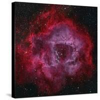 The Rosette Nebula-null-Stretched Canvas