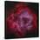 The Rosette Nebula-null-Stretched Canvas