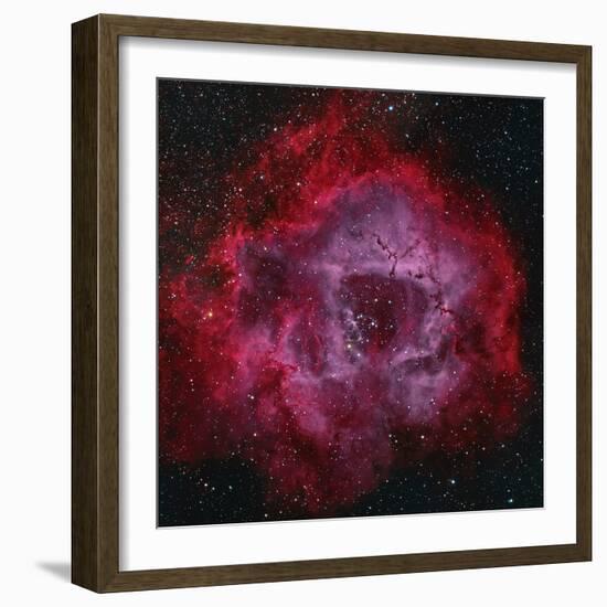 The Rosette Nebula-null-Framed Premium Photographic Print