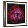 The Rosette Nebula-null-Framed Premium Photographic Print