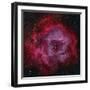 The Rosette Nebula-null-Framed Premium Photographic Print