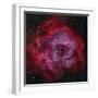 The Rosette Nebula-null-Framed Premium Photographic Print