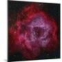 The Rosette Nebula-null-Mounted Premium Photographic Print