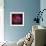 The Rosette Nebula-null-Framed Photographic Print displayed on a wall