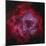 The Rosette Nebula-null-Mounted Photographic Print