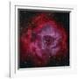 The Rosette Nebula-null-Framed Photographic Print