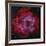 The Rosette Nebula-null-Framed Photographic Print