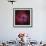 The Rosette Nebula-null-Framed Photographic Print displayed on a wall