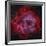 The Rosette Nebula-null-Framed Photographic Print