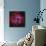 The Rosette Nebula-null-Mounted Photographic Print displayed on a wall