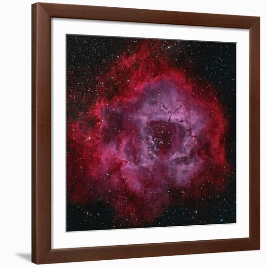 The Rosette Nebula-null-Framed Photographic Print