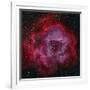 The Rosette Nebula-null-Framed Photographic Print