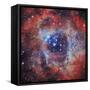 The Rosette Nebula-null-Framed Stretched Canvas