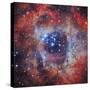 The Rosette Nebula-null-Stretched Canvas