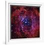 The Rosette Nebula-Stocktrek Images-Framed Premium Photographic Print