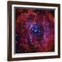 The Rosette Nebula-Stocktrek Images-Framed Premium Photographic Print