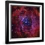 The Rosette Nebula-Stocktrek Images-Framed Premium Photographic Print