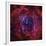 The Rosette Nebula-Stocktrek Images-Framed Premium Photographic Print