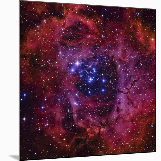 The Rosette Nebula-Stocktrek Images-Mounted Premium Photographic Print