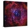 The Rosette Nebula-Stocktrek Images-Stretched Canvas