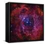 The Rosette Nebula-Stocktrek Images-Framed Stretched Canvas
