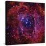 The Rosette Nebula-Stocktrek Images-Stretched Canvas