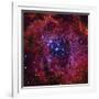 The Rosette Nebula-Stocktrek Images-Framed Photographic Print