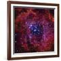 The Rosette Nebula-Stocktrek Images-Framed Photographic Print