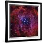 The Rosette Nebula-Stocktrek Images-Framed Photographic Print