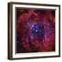 The Rosette Nebula-Stocktrek Images-Framed Premium Photographic Print